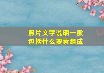 照片文字说明一般包括什么要素组成