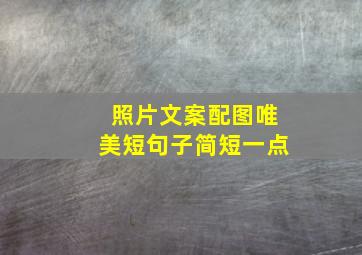 照片文案配图唯美短句子简短一点