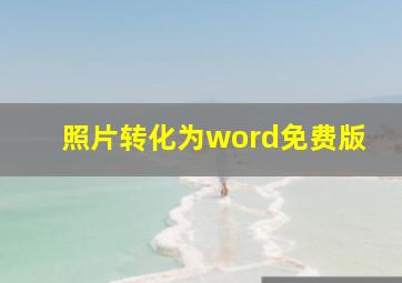 照片转化为word免费版