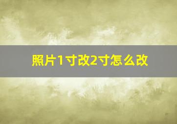 照片1寸改2寸怎么改