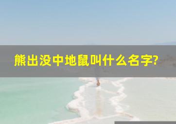 熊出没中地鼠叫什么名字?