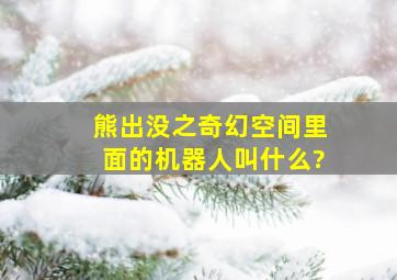 熊出没之奇幻空间里面的机器人叫什么?