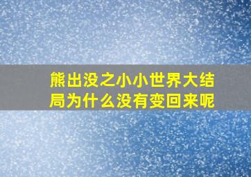 熊出没之小小世界大结局为什么没有变回来呢