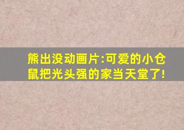 熊出没动画片:可爱的小仓鼠把光头强的家当天堂了!