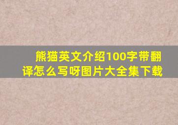 熊猫英文介绍100字带翻译怎么写呀图片大全集下载