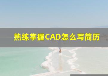 熟练掌握CAD怎么写简历