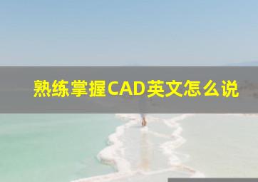 熟练掌握CAD英文怎么说