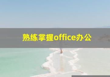 熟练掌握office办公