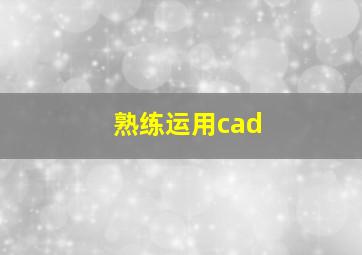 熟练运用cad