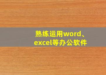 熟练运用word、excel等办公软件