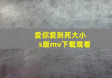 爱你爱到死大小s版mv下载观看