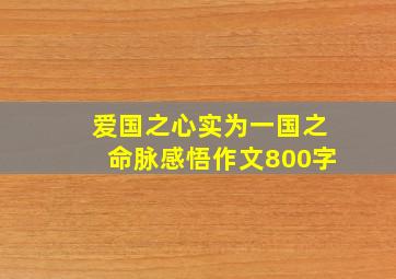 爱国之心实为一国之命脉感悟作文800字