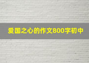 爱国之心的作文800字初中