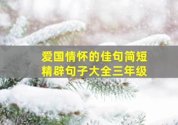 爱国情怀的佳句简短精辟句子大全三年级