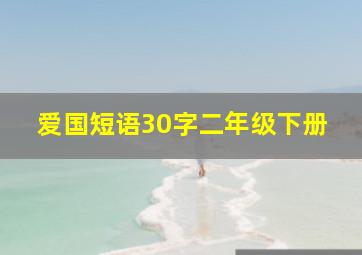 爱国短语30字二年级下册