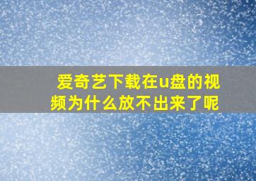 爱奇艺下载在u盘的视频为什么放不出来了呢