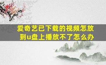 爱奇艺已下载的视频怎放到u盘上播放不了怎么办