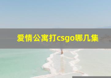 爱情公寓打csgo哪几集