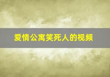 爱情公寓笑死人的视频