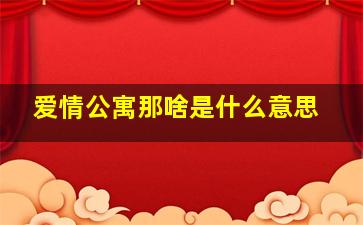 爱情公寓那啥是什么意思