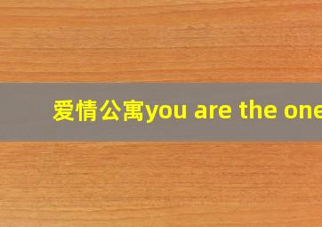 爱情公寓you are the one