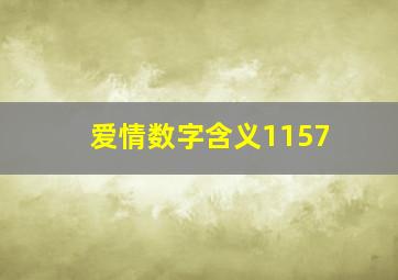 爱情数字含义1157