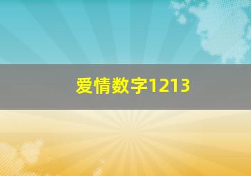 爱情数字1213