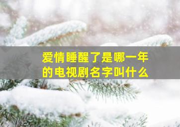 爱情睡醒了是哪一年的电视剧名字叫什么