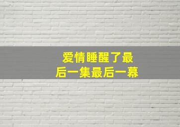 爱情睡醒了最后一集最后一幕