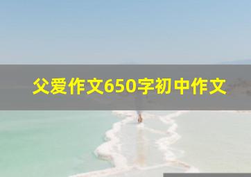 父爱作文650字初中作文