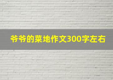 爷爷的菜地作文300字左右