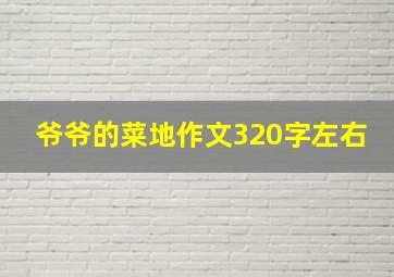 爷爷的菜地作文320字左右