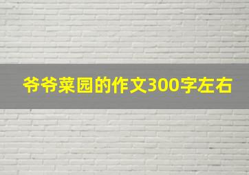 爷爷菜园的作文300字左右