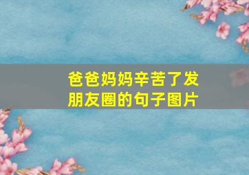 爸爸妈妈辛苦了发朋友圈的句子图片