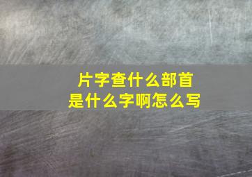 片字查什么部首是什么字啊怎么写