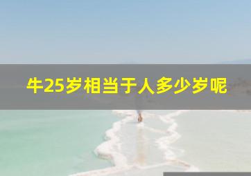 牛25岁相当于人多少岁呢