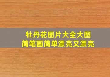 牡丹花图片大全大图简笔画简单漂亮又漂亮