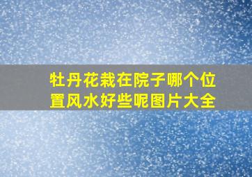 牡丹花栽在院子哪个位置风水好些呢图片大全