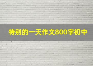 特别的一天作文800字初中