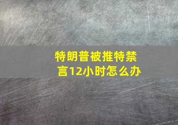 特朗普被推特禁言12小时怎么办