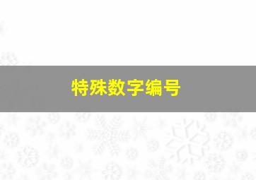 特殊数字编号