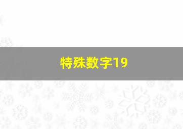 特殊数字19