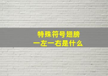 特殊符号翅膀一左一右是什么