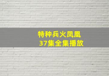 特种兵火凤凰37集全集播放