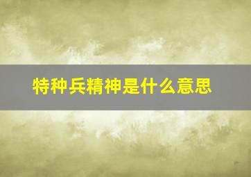 特种兵精神是什么意思