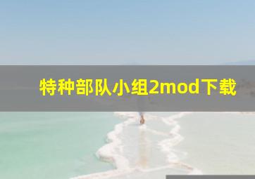 特种部队小组2mod下载