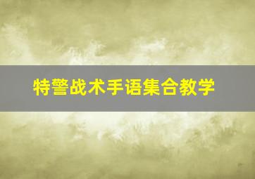 特警战术手语集合教学