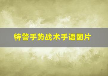 特警手势战术手语图片