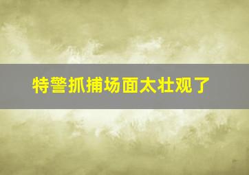 特警抓捕场面太壮观了