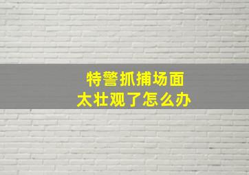 特警抓捕场面太壮观了怎么办